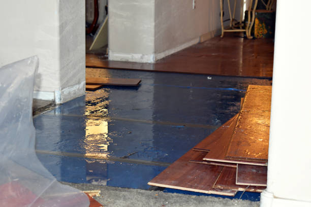 Professional Flood Damage Repair technician working in Newport, NC